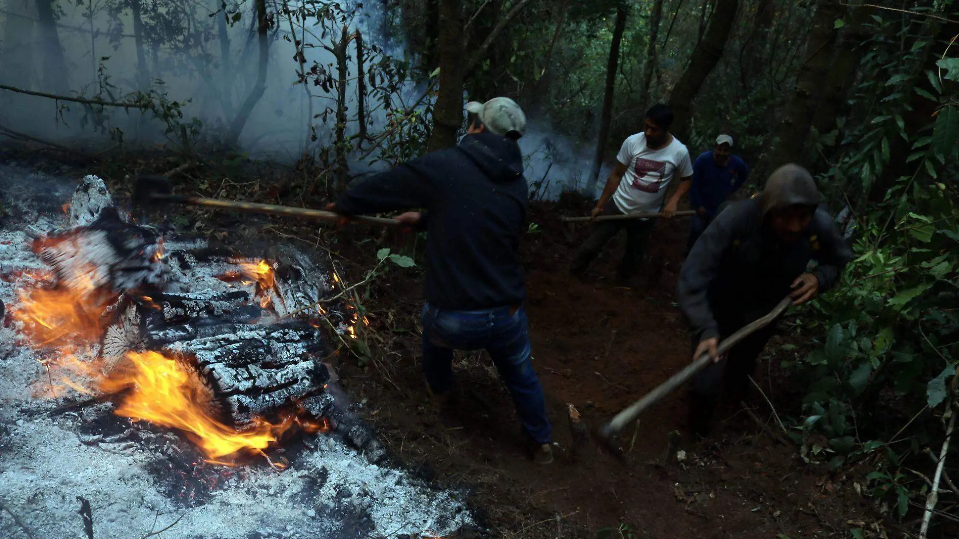 873816_Incendio Cañada Mexicapan 7_web